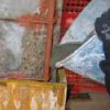 ⁦ADEGROUT FLUIDO - גראוט מתפשט לשיקום קונסטרקטיבי סיווג R4⁩ – תמונה ⁦2⁩